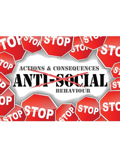 Understanding public perceptions of anti-social behaviour: problems and policy responses